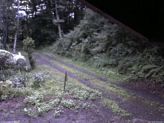 長野県菅平高原 ゆたか山荘 東側(坂下) 2025/08/12 05:15
