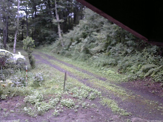 長野県菅平高原 ゆたか山荘 東側(坂下) 2025/08/12 05:30