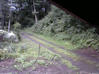 長野県菅平高原 ゆたか山荘 東側(坂下) 2025/08/12 05:45