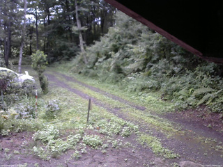 長野県菅平高原 ゆたか山荘 東側(坂下) 2025/08/12 06:00
