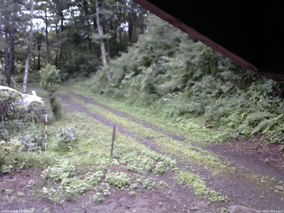 長野県菅平高原 ゆたか山荘 東側(坂下) 2025/08/12 06:15