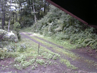 長野県菅平高原 ゆたか山荘 東側(坂下) 2025/08/12 07:00
