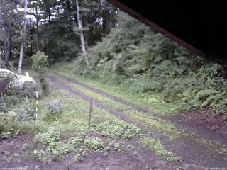 長野県菅平高原 ゆたか山荘 東側(坂下) 2025/08/12 07:15