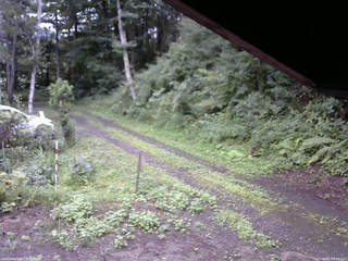 長野県菅平高原 ゆたか山荘 東側(坂下) 2025/08/12 07:30