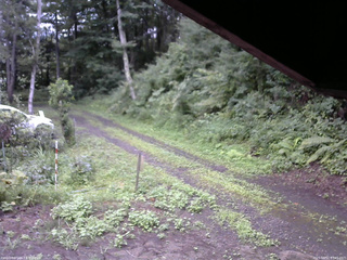 長野県菅平高原 ゆたか山荘 東側(坂下) 2025/08/12 07:45