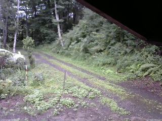 長野県菅平高原 ゆたか山荘 東側(坂下) 2025/08/12 08:00