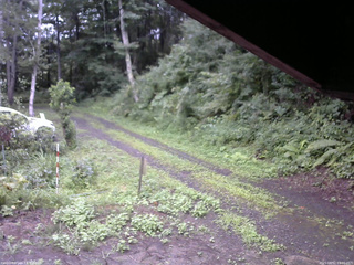 長野県菅平高原 ゆたか山荘 東側(坂下) 2025/08/12 09:30
