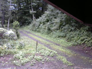 長野県菅平高原 ゆたか山荘 東側(坂下) 2025/08/12 10:00