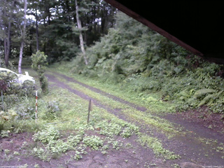 長野県菅平高原 ゆたか山荘 東側(坂下) 2025/08/12 14:45