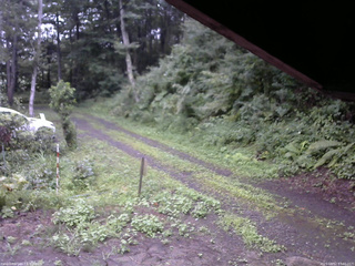 長野県菅平高原 ゆたか山荘 東側(坂下) 2025/08/12 17:30