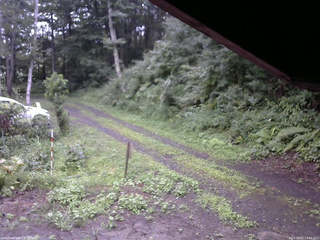 長野県菅平高原 ゆたか山荘 東側(坂下) 2025/08/12 17:45