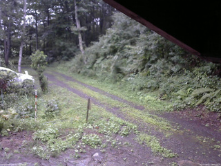 長野県菅平高原 ゆたか山荘 東側(坂下) 2025/08/12 18:00