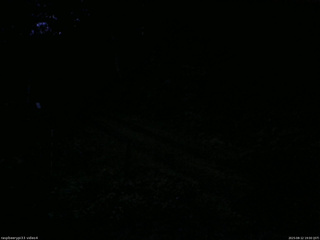長野県菅平高原 ゆたか山荘 東側(坂下) 2025/08/12 19:00