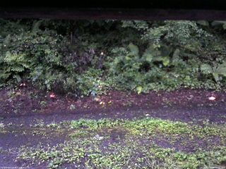 長野県菅平高原 ゆたか山荘 南側 2025/08/13 05:15