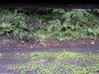 長野県菅平高原 ゆたか山荘 南側 2025/08/13 05:45