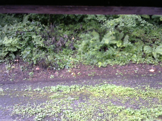 長野県菅平高原 ゆたか山荘 南側 2025/08/13 07:00