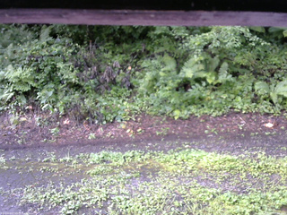 長野県菅平高原 ゆたか山荘 南側 2025/08/13 07:15