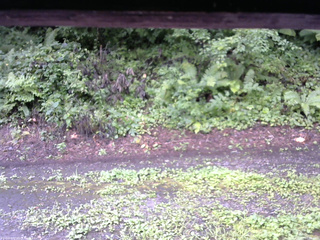 長野県菅平高原 ゆたか山荘 南側 2025/08/13 07:30