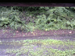 長野県菅平高原 ゆたか山荘 南側 2025/08/13 08:15