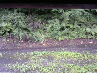 長野県菅平高原 ゆたか山荘 南側 2025/08/13 08:30