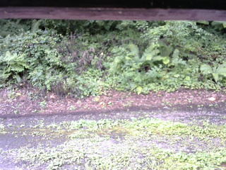 長野県菅平高原 ゆたか山荘 南側 2025/08/13 09:15