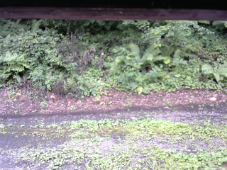 長野県菅平高原 ゆたか山荘 南側 2025/08/13 09:45