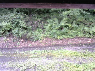 長野県菅平高原 ゆたか山荘 南側 2025/08/13 10:00