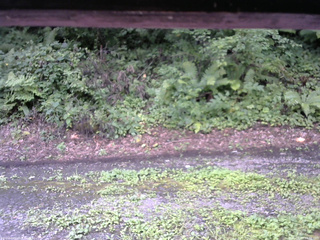 長野県菅平高原 ゆたか山荘 南側 2025/08/13 10:30