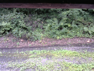 長野県菅平高原 ゆたか山荘 南側 2025/08/13 10:45