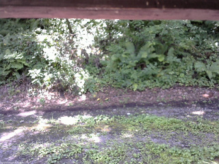 長野県菅平高原 ゆたか山荘 南側 2025/08/13 11:00