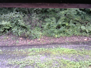 長野県菅平高原 ゆたか山荘 南側 2025/08/13 11:15