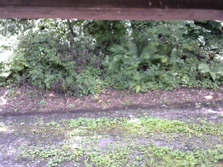 長野県菅平高原 ゆたか山荘 南側 2025/08/13 11:30