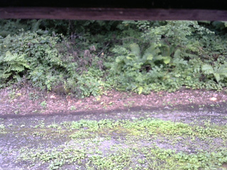 長野県菅平高原 ゆたか山荘 南側 2025/08/13 11:45