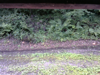 長野県菅平高原 ゆたか山荘 南側 2025/08/13 12:00