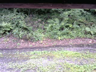 長野県菅平高原 ゆたか山荘 南側 2025/08/13 12:15