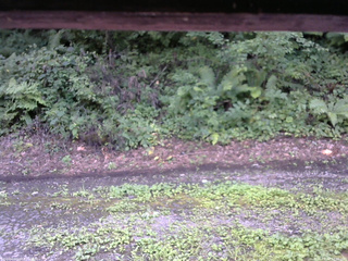 長野県菅平高原 ゆたか山荘 南側 2025/08/13 12:30