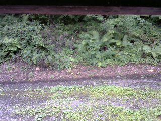 長野県菅平高原 ゆたか山荘 南側 2025/08/13 12:45