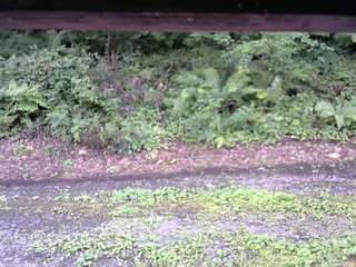 長野県菅平高原 ゆたか山荘 南側 2025/08/13 13:00