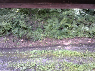 長野県菅平高原 ゆたか山荘 南側 2025/08/13 13:15