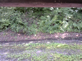 長野県菅平高原 ゆたか山荘 南側 2025/08/13 13:30