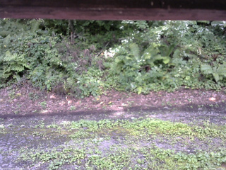 長野県菅平高原 ゆたか山荘 南側 2025/08/13 13:45