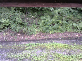 長野県菅平高原 ゆたか山荘 南側 2025/08/13 14:00