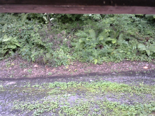 長野県菅平高原 ゆたか山荘 南側 2025/08/13 14:15