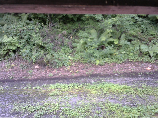 長野県菅平高原 ゆたか山荘 南側 2025/08/13 14:45