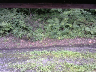 長野県菅平高原 ゆたか山荘 南側 2025/08/13 15:00