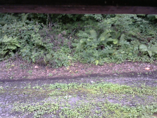 長野県菅平高原 ゆたか山荘 南側 2025/08/13 15:15