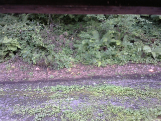 長野県菅平高原 ゆたか山荘 南側 2025/08/13 15:30