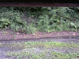 長野県菅平高原 ゆたか山荘 南側 2025/08/13 15:45