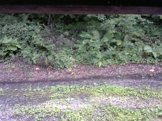 長野県菅平高原 ゆたか山荘 南側 2025/08/13 16:00