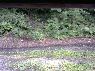 長野県菅平高原 ゆたか山荘 南側 2025/08/13 16:15